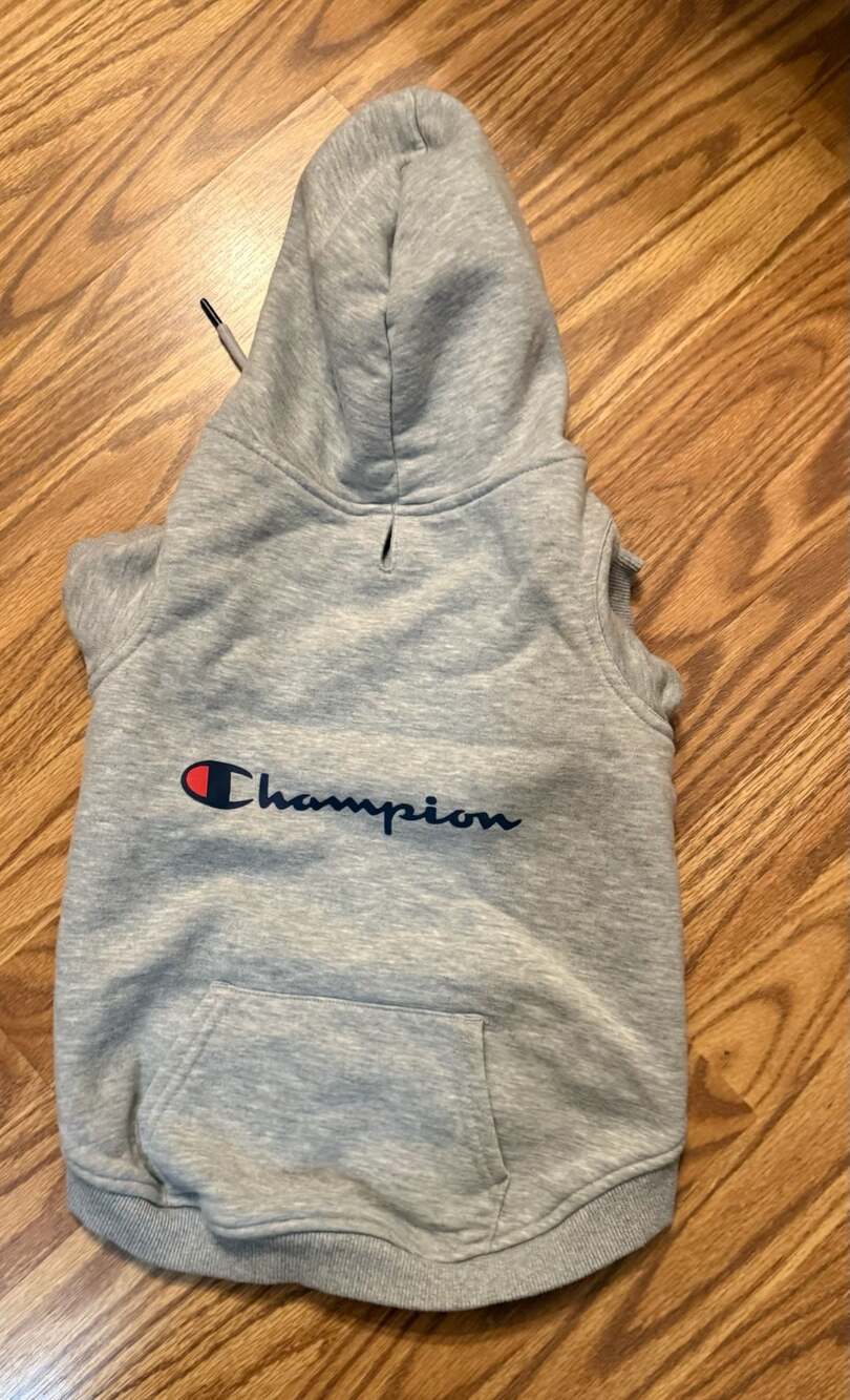 Champion Authentic Athleticwear Gray Dog Pullover Hoodie large